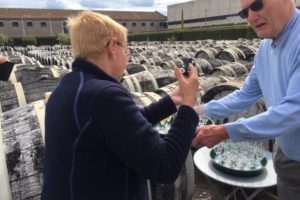 TRIP TO THE LANGUEDOC - MAY 2019