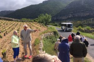 TRIP TO THE LANGUEDOC - MAY 2019