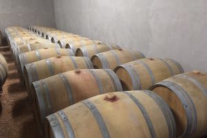 TRIP TO THE LANGUEDOC - MAY 2019
